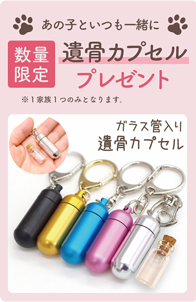 遺骨カプセルプレゼント